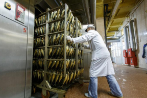 Кому перешли активы обанкротившейся «Белрыбы» — без приближенных к семье Лукашенко не обошлось