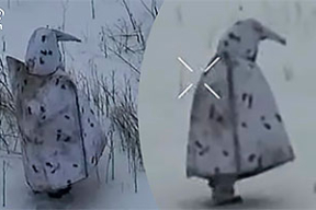 Война, 29 января. Пингвины на поле боя. Лавров: «Перемирие, которого добивается Зеленский, для РФ неприемлемо». О чем Трамп попросил Путина