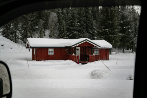 Почему мир готов платить за право на молчание