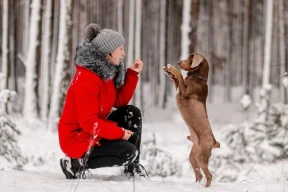 Конвейер репрессий. Осудили ветеринара из Гомеля. Как на БелЖД ищут «шпионов». Стало известно имя одного из помилованных 30 декабря